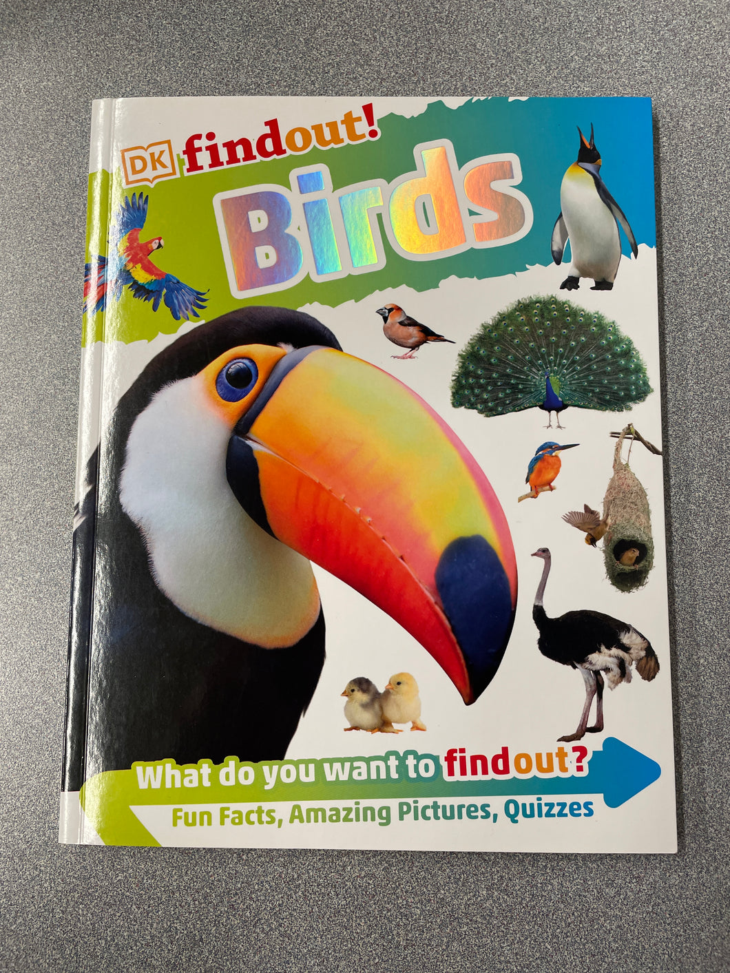 FindOut!: Birds, Hoare, Ben [2021] CN 2/24