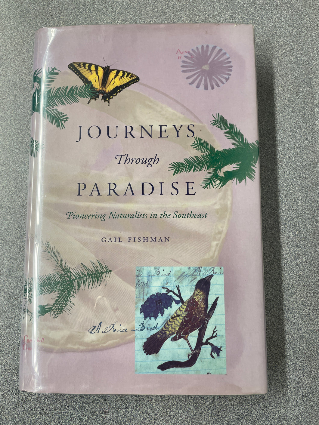 AN  Journeys Through Paradise: Pioneering Naturalists in the Southeast, Fishman, Gail [2000] N 2/24