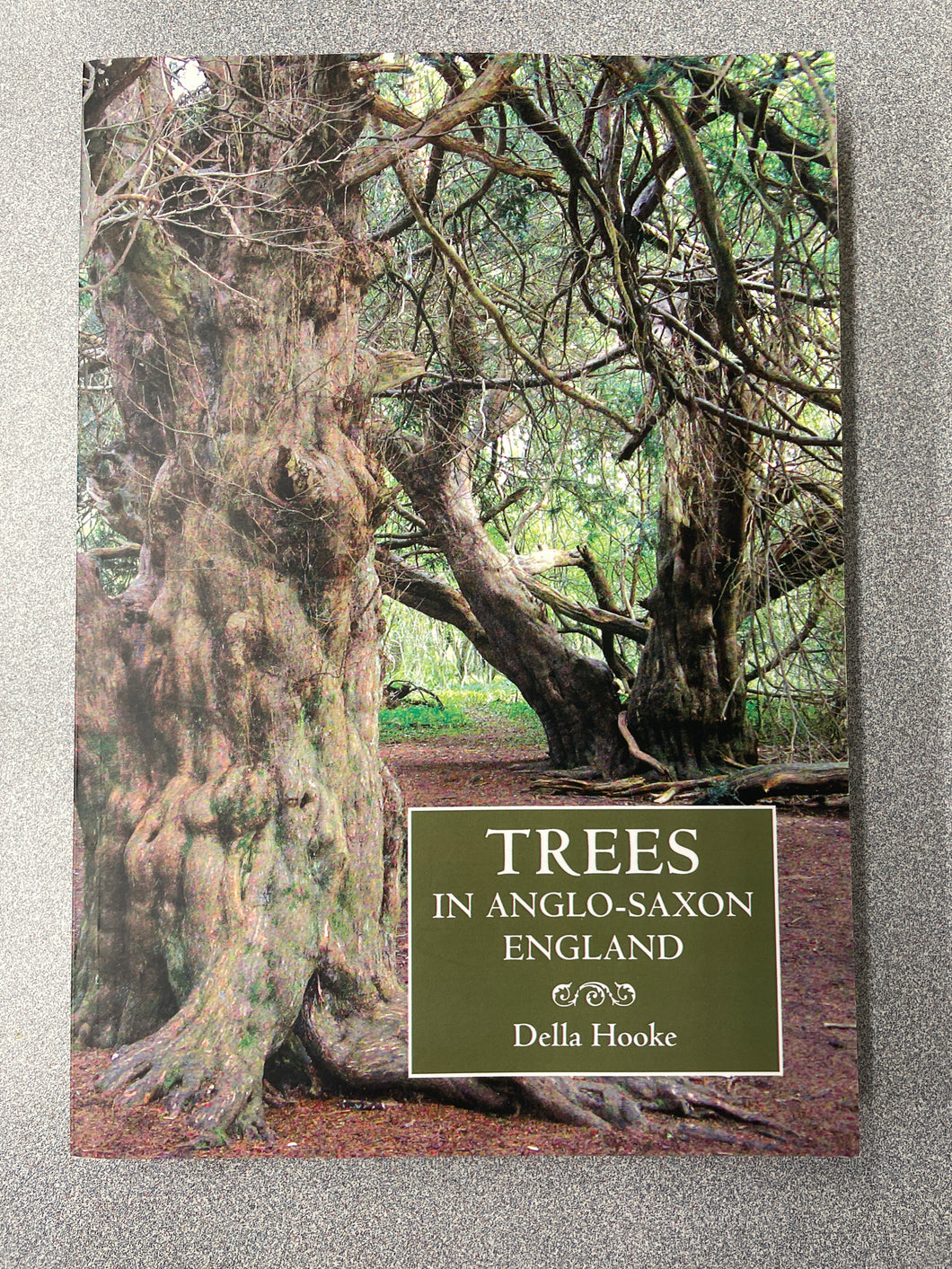 AN  Trees in Anglo-Saxon England: Literature, Lore and Landscape, Hooke, Della [2010] N 3/24