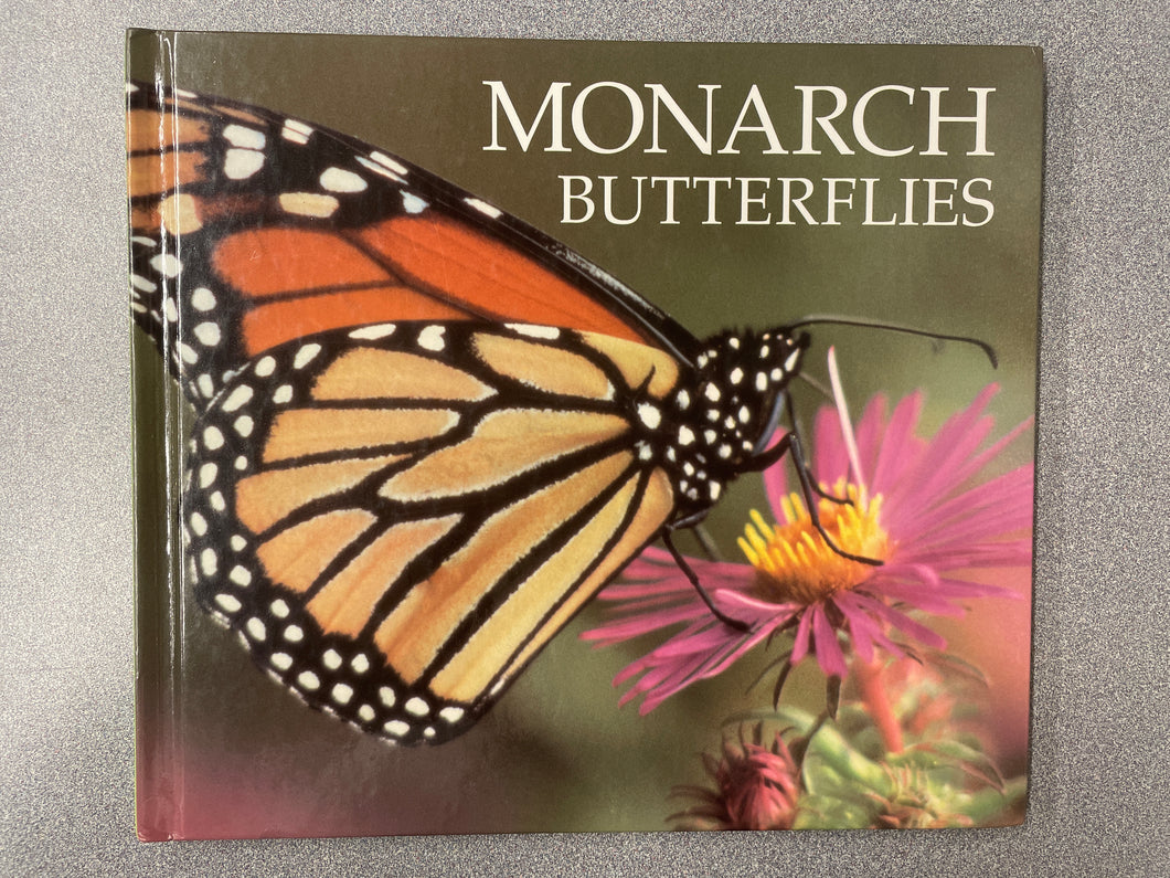 Monarch Butterflies, Rotter, Charles [1993] CN 4/24