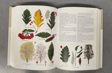 Load image into Gallery viewer, The Illustrated Encyclopedia of Trees, Second Edition, More, David and John White [2002] SN  7/23
