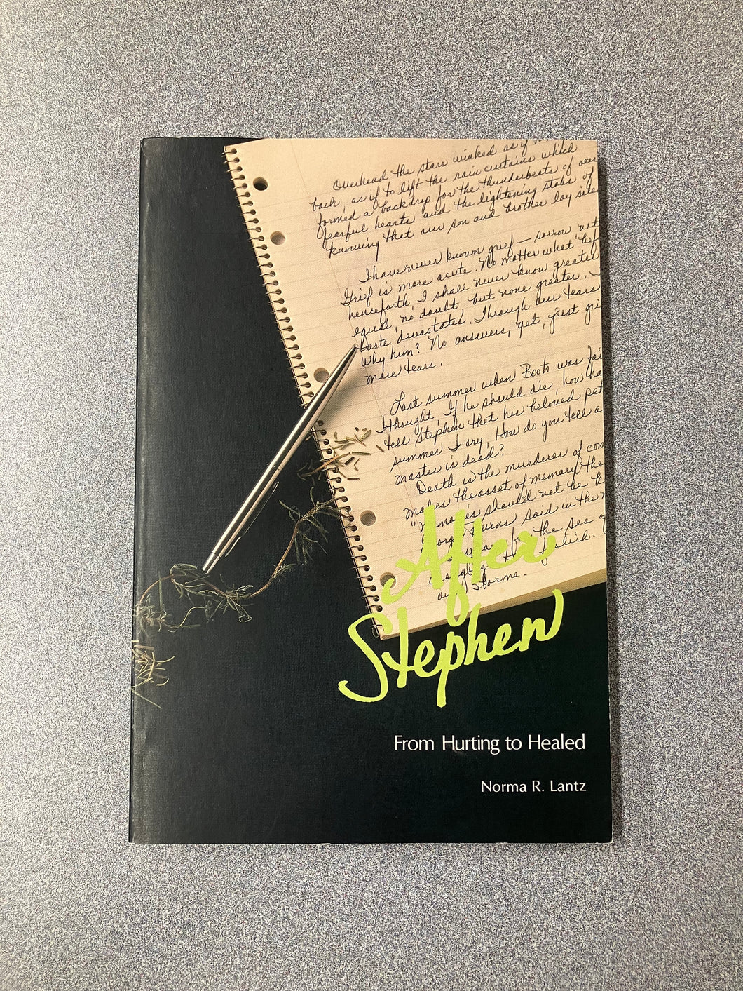 (AN) After Stephen: From Hurting to Healed, Lantz, Norma R. [1987] 7/25
