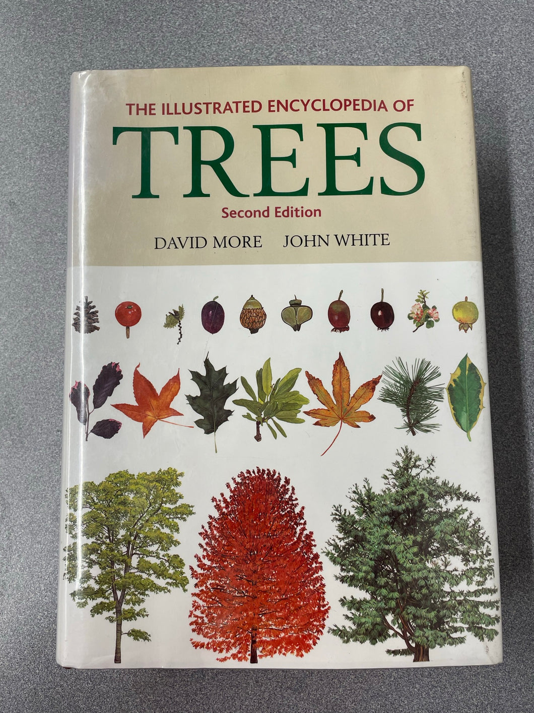 The Illustrated Encyclopedia of Trees, Second Edition, More, David and John White [2002] SN  7/23