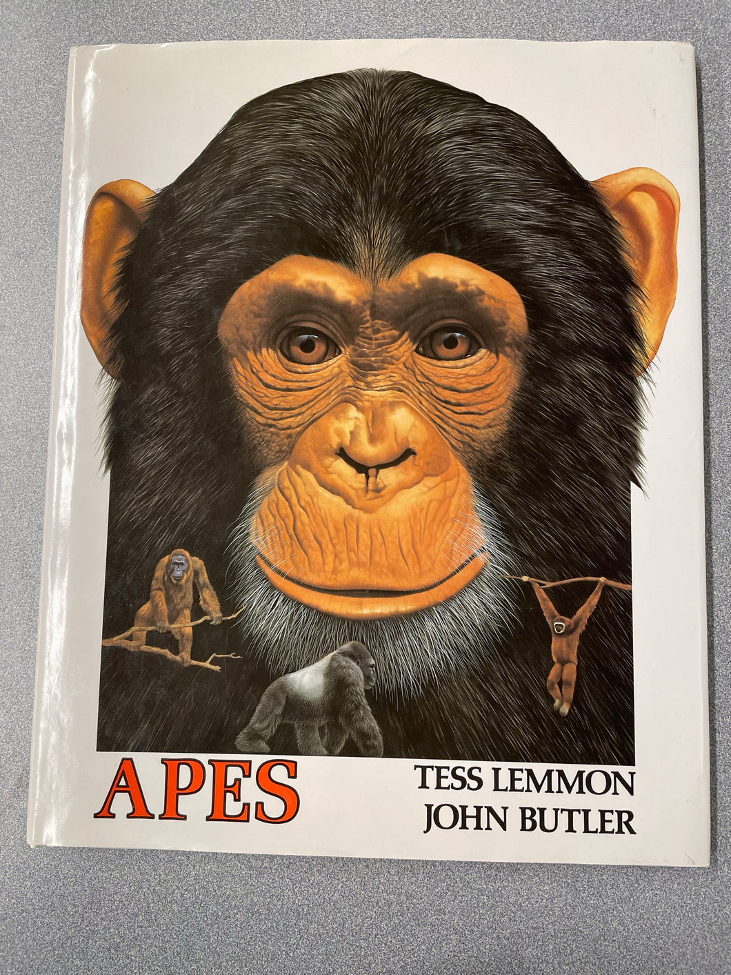 Apes, Lemmon, Tess and John Butler [1993] CN 8/23