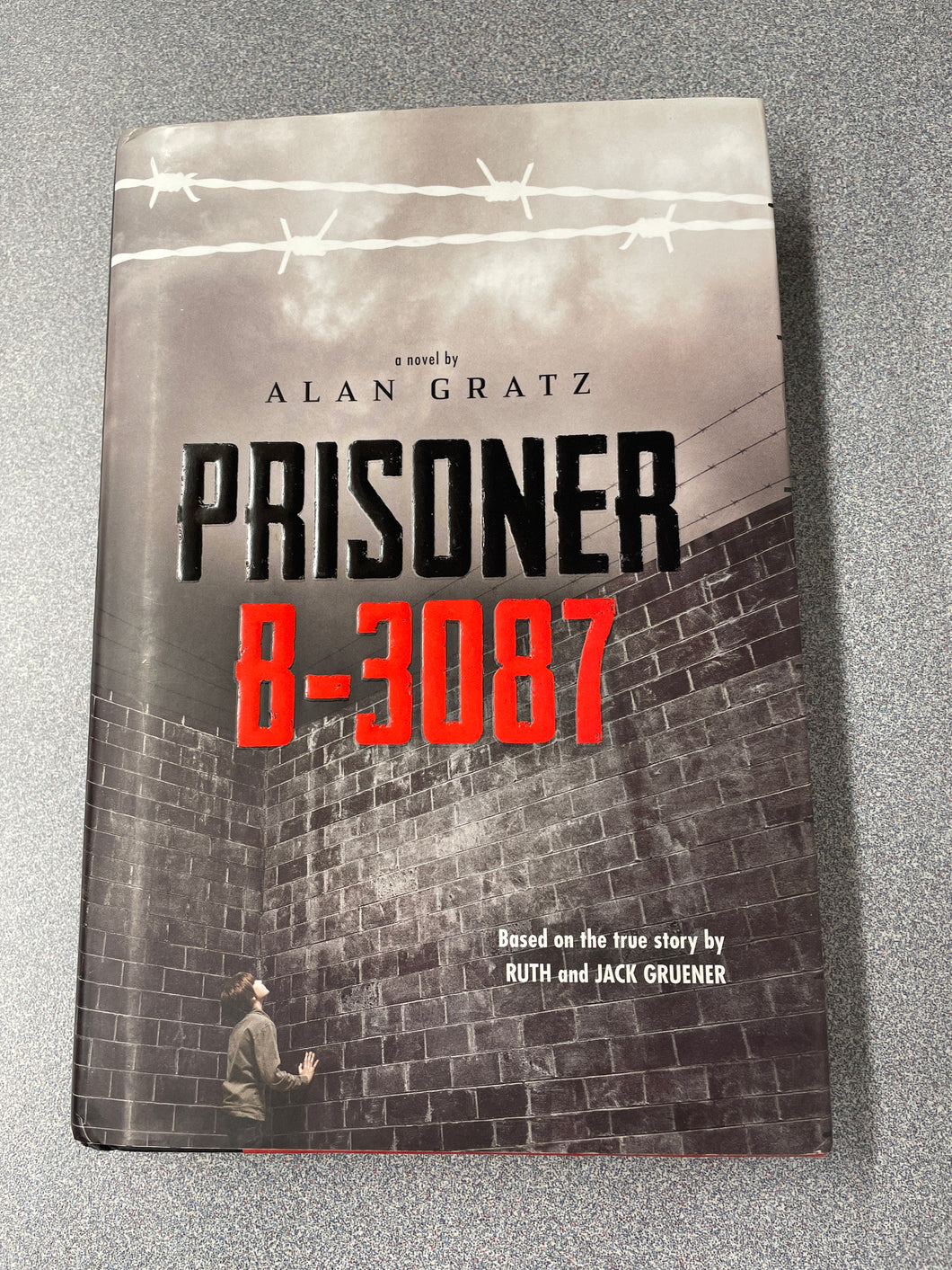 Gratz, Alan, Prisoner B-3087 [2013] YF 2/24