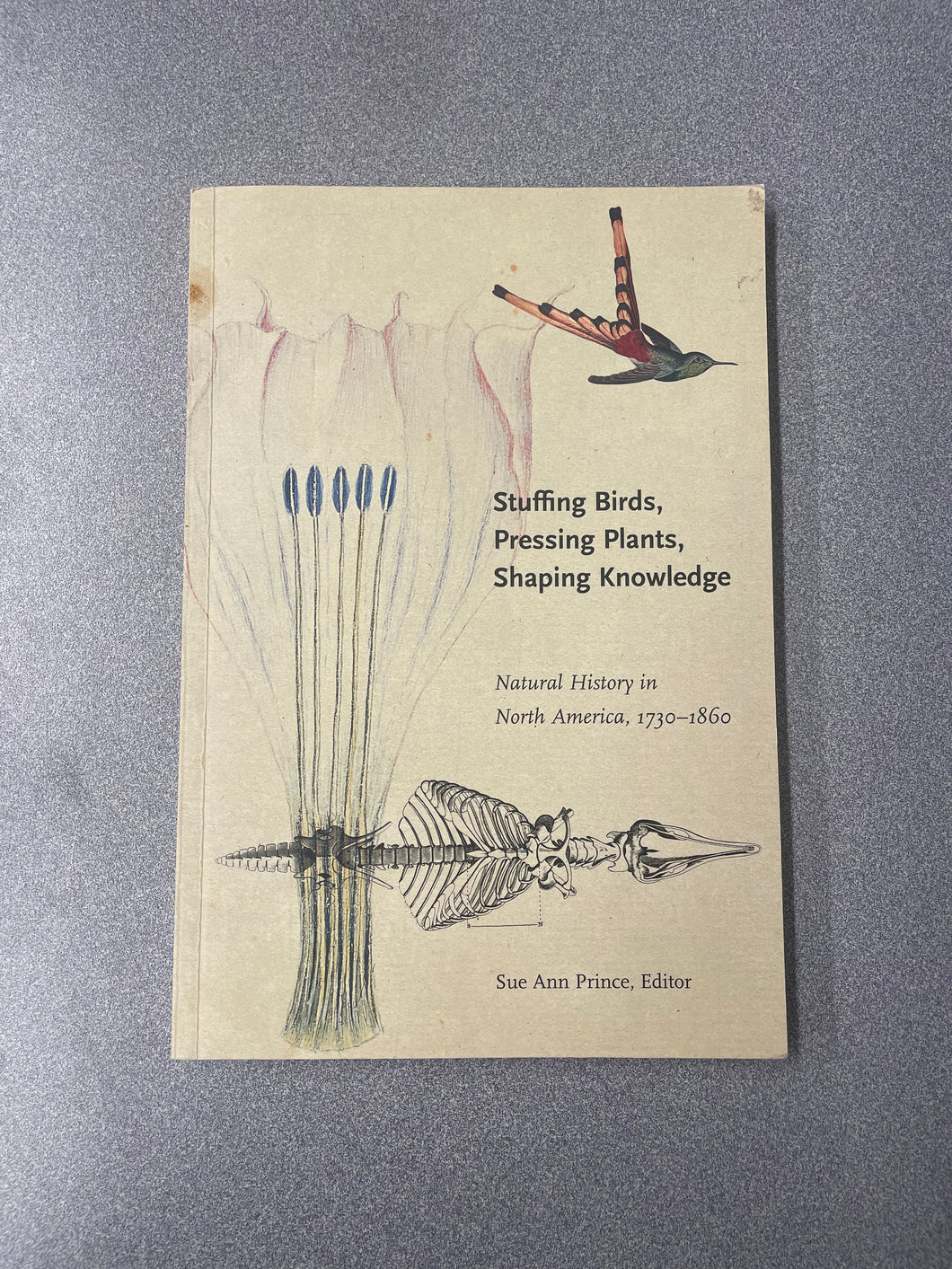 SN  Stuffing Birds, Pressing Plants, Shaping Knowledge: Natural History in North America, 1730-1860, Prince, Sue Ann, Ed. [2003] N 4/25