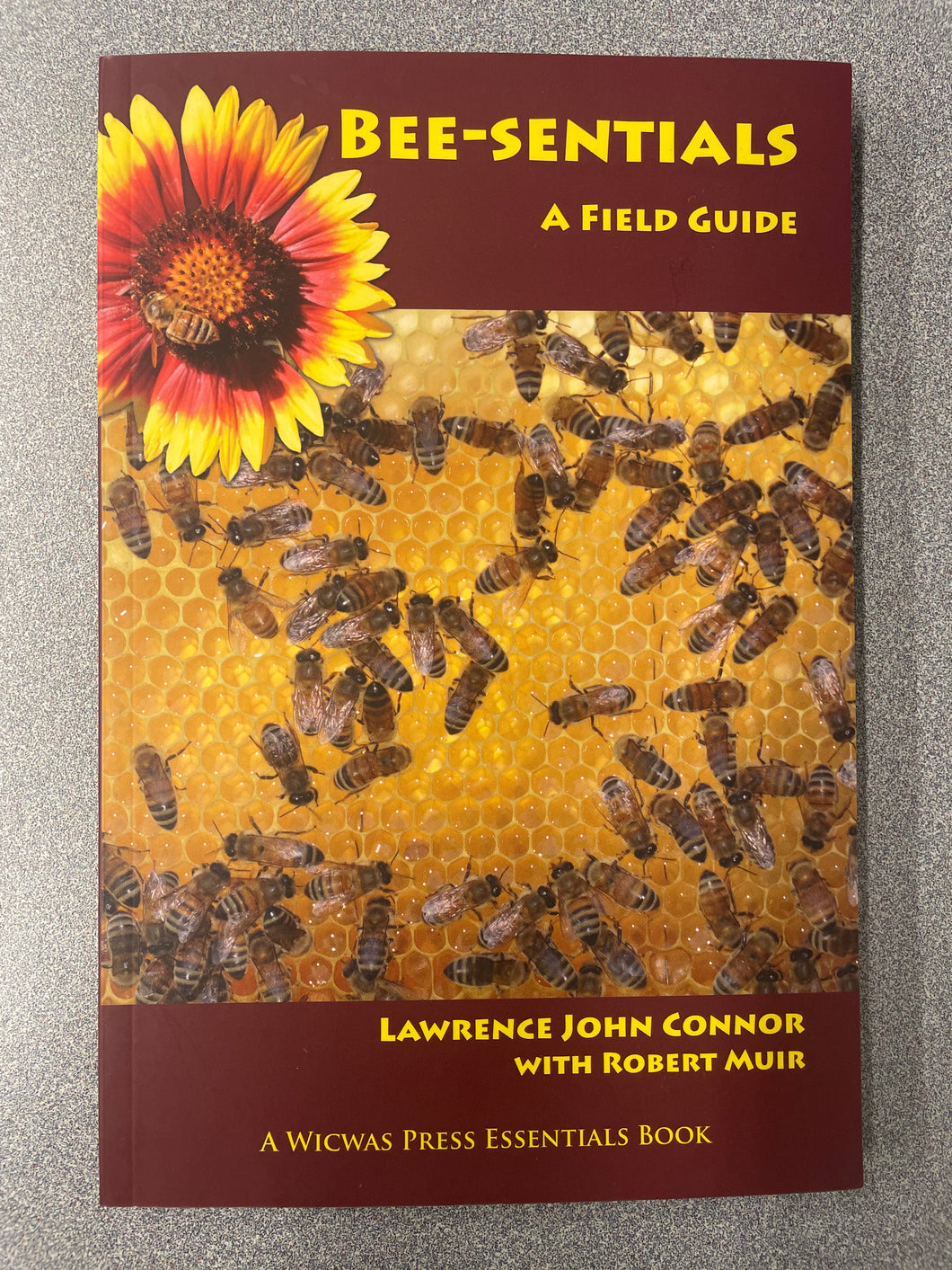 AN  Bee-sentials: A Field Guide, Connor, Lawrence John [2012] N 5/25