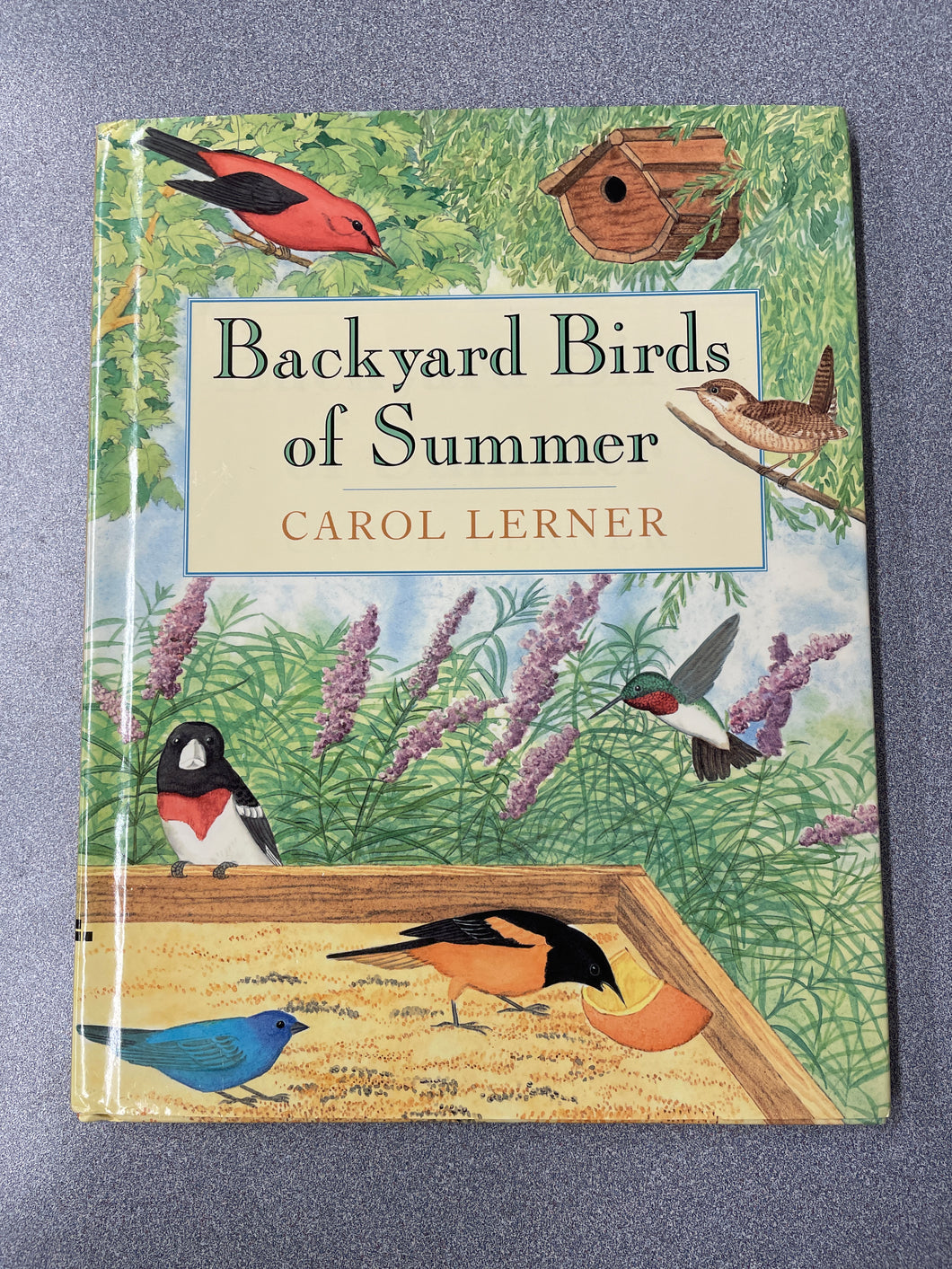 Backyard Birds of Summer, Lerner, Carol [1996] CN 6/24