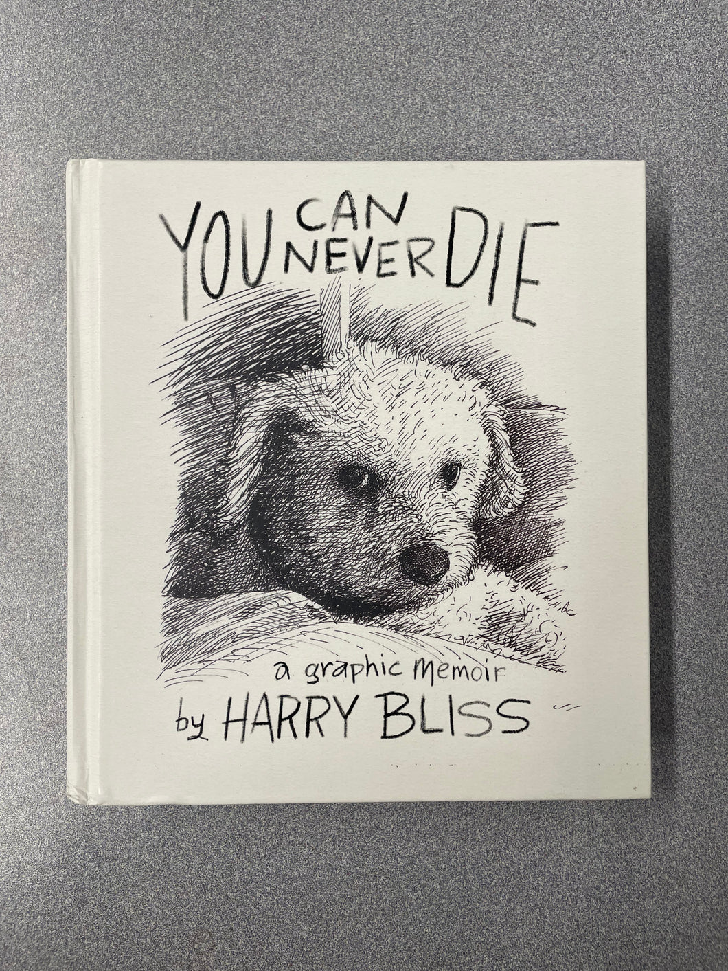 (BI) You Can Never Die: a Graphic Memoir, Bliss, Harry [2025] 8/25