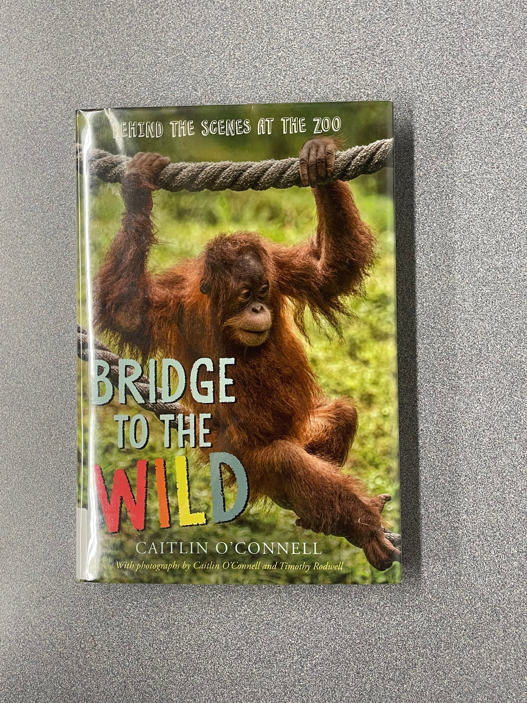 (CN)  Bridge to the Wild: Behind the Scenes at the Zoo, O'Connell, Caitlin [2016]