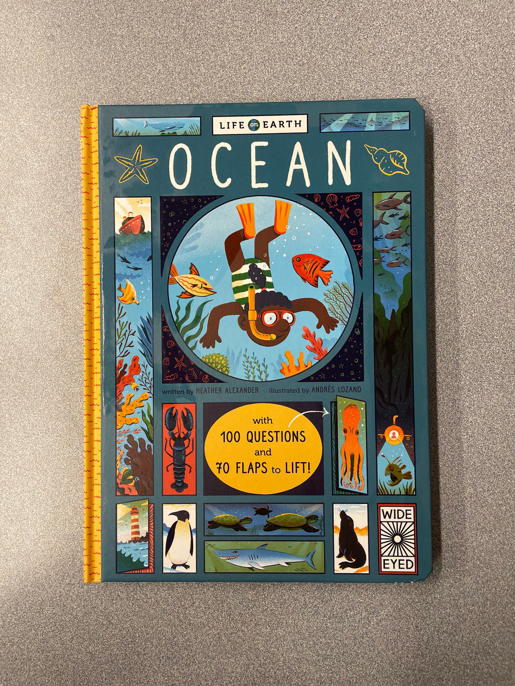 (CN)  Ocean, Alexander, Heather [2018]  11/25