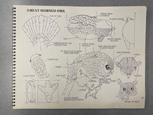 Load image into Gallery viewer, CG  Realism in Wood: Detailed Patterns and Instructions for Carving 22 Different Birds and Animals, Lehman, George [1995] N 11/24
