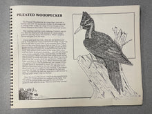 Load image into Gallery viewer, CG  Realism in Wood: Detailed Patterns and Instructions for Carving 22 Different Birds and Animals, Lehman, George [1995] N 11/24
