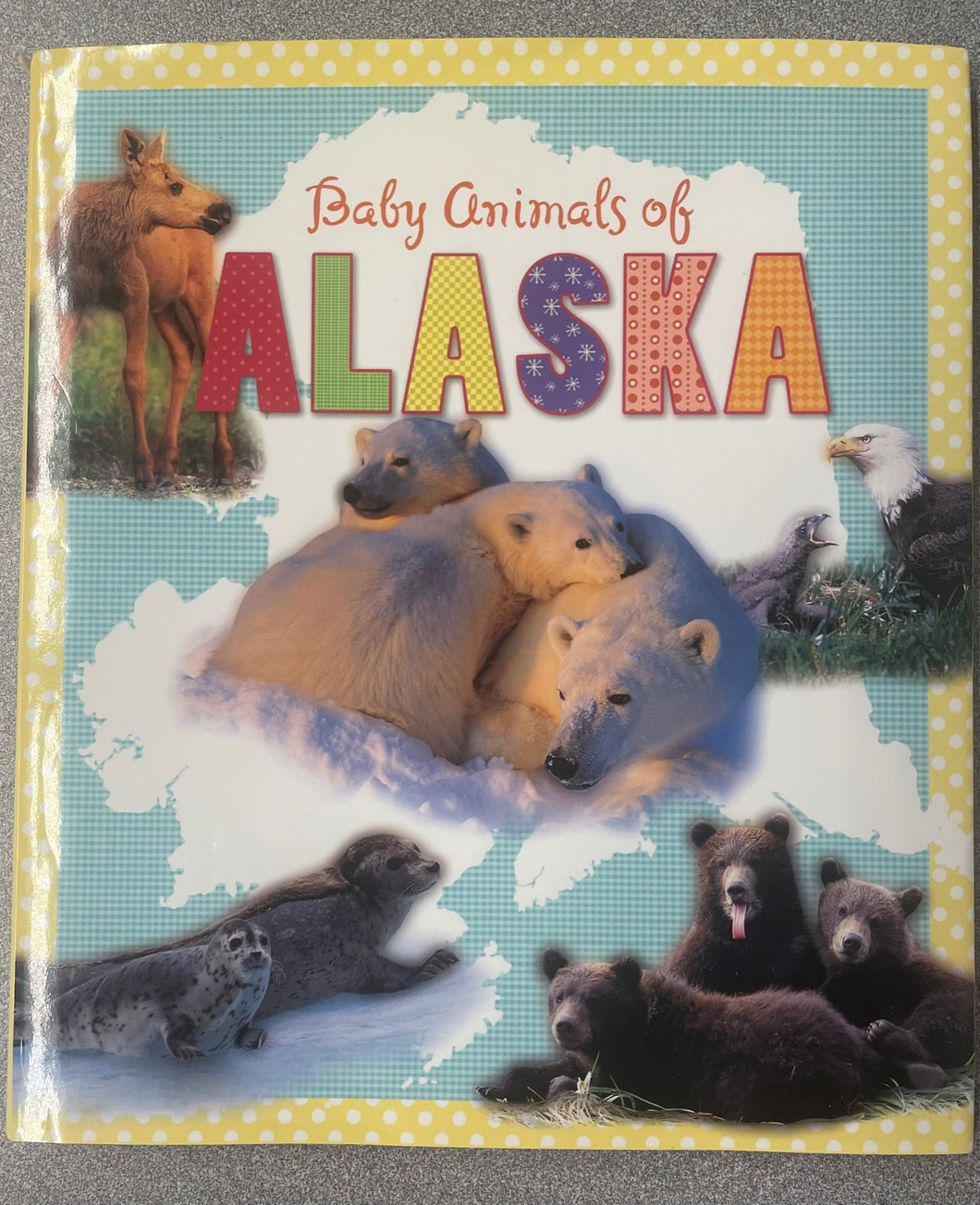 Baby Animals of Alaska, Curteich, John Hinde [2004]CN 7/23