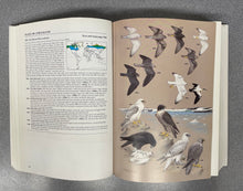 Load image into Gallery viewer, Raptors of the World, Ferguson-Lees, James and David A. Christie [2001] SN 7/23

