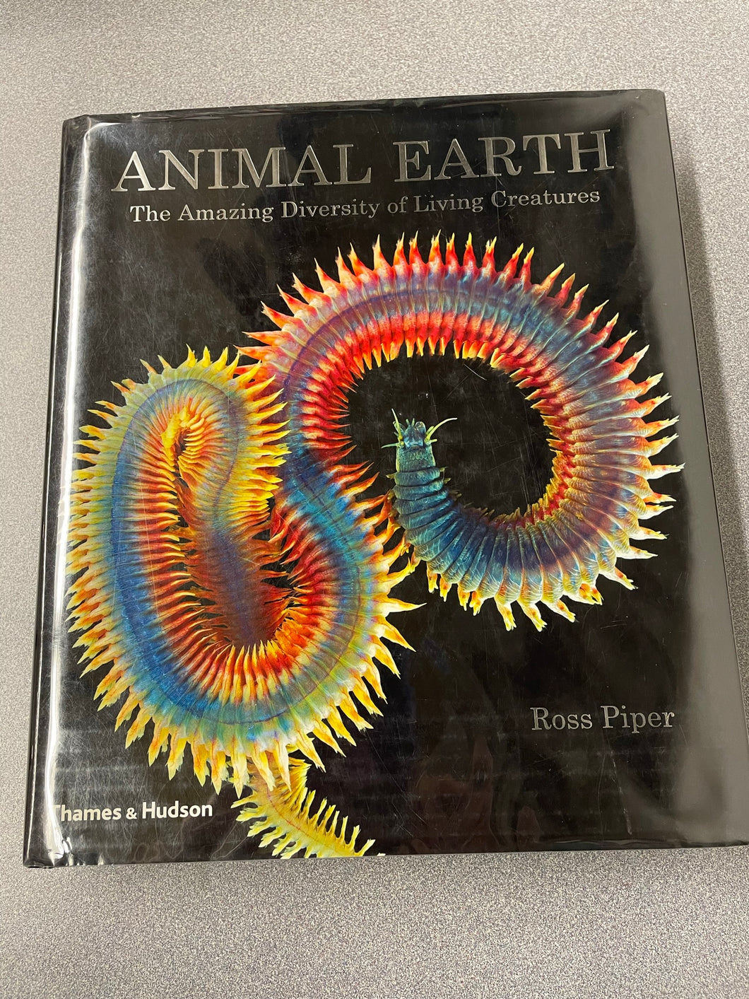 Animal Earth: The Amazing Diversity of Living Creatures, Piper, Rose [2013]  SN 10/22