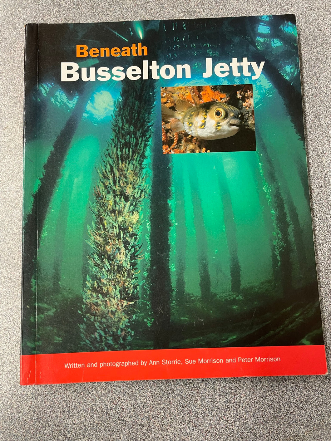 Beneath Busselton Jetty, Storrie, Ann, et al. [2003] SN 10/22