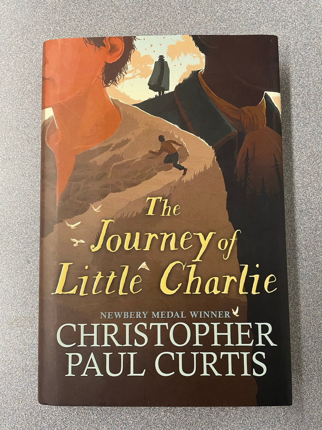 Curtis, Christopher Paul, The Journey of Little Charley [2018] YF 1/23