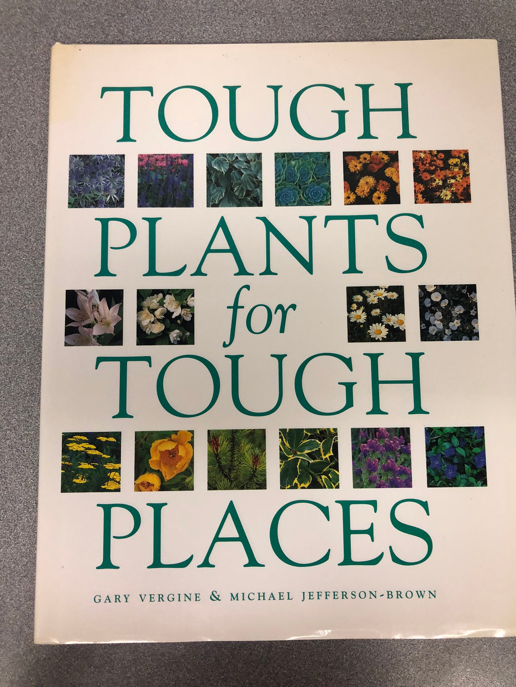 Tough Plants for Tough Places, Vergine, Gary and Michael Jefferson-Brown, [1997] G 8/22