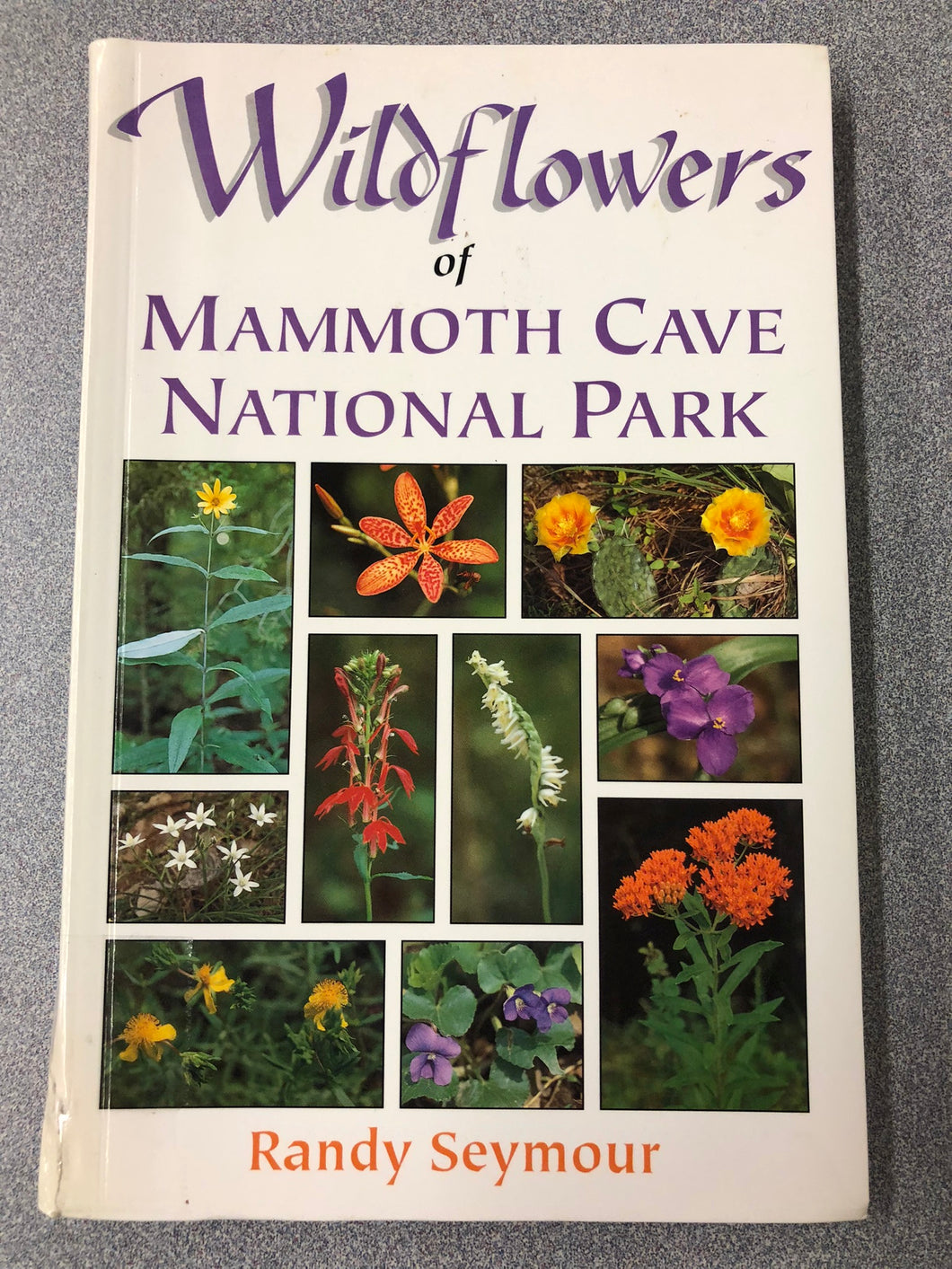 Wildflowers of Mammoth Cave National Park, Seymour, Randy, [1997] SN 8/22